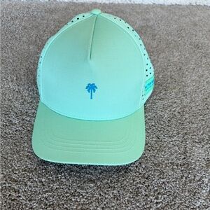 Light Green Alter Ego Hat with Palm Tree Logo
